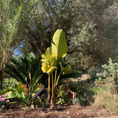 Tranquilite بيت للعطل *