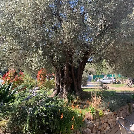 بيت للعطل Tranquilite *